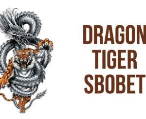 Guide on How to Play Dragon Tiger Cards at SBOBET Casino Agents